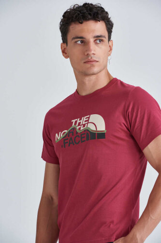 The North Face Erkek Mountain Line T-Shirt - 7